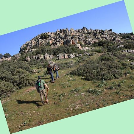 Complejo Turistico Rural Fuente Taray Daire Malagón Dış mekan fotoğraf
