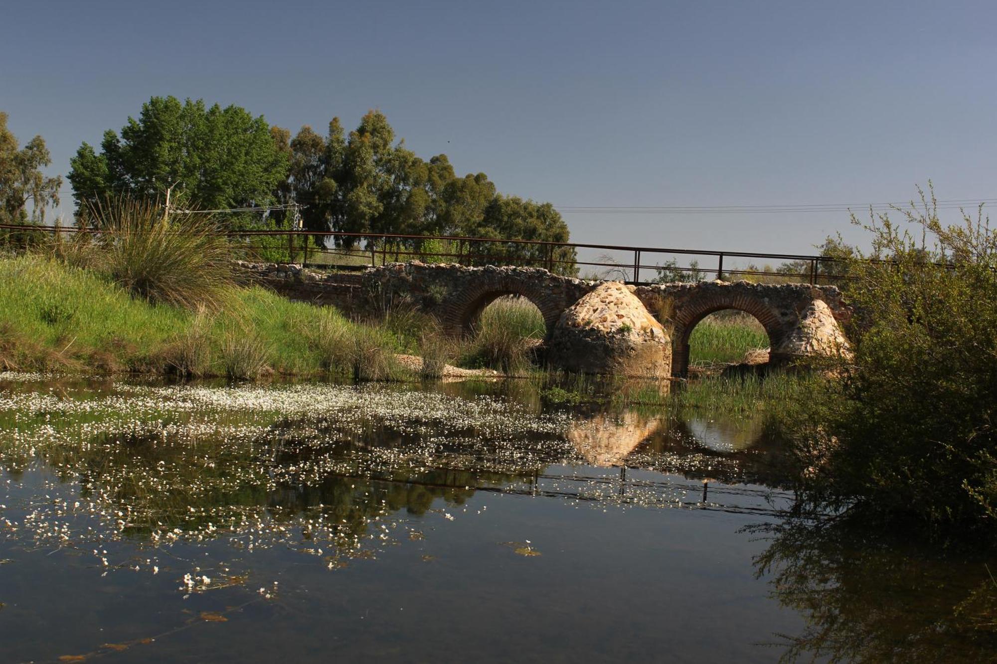 Complejo Turistico Rural Fuente Taray Daire Malagón Dış mekan fotoğraf