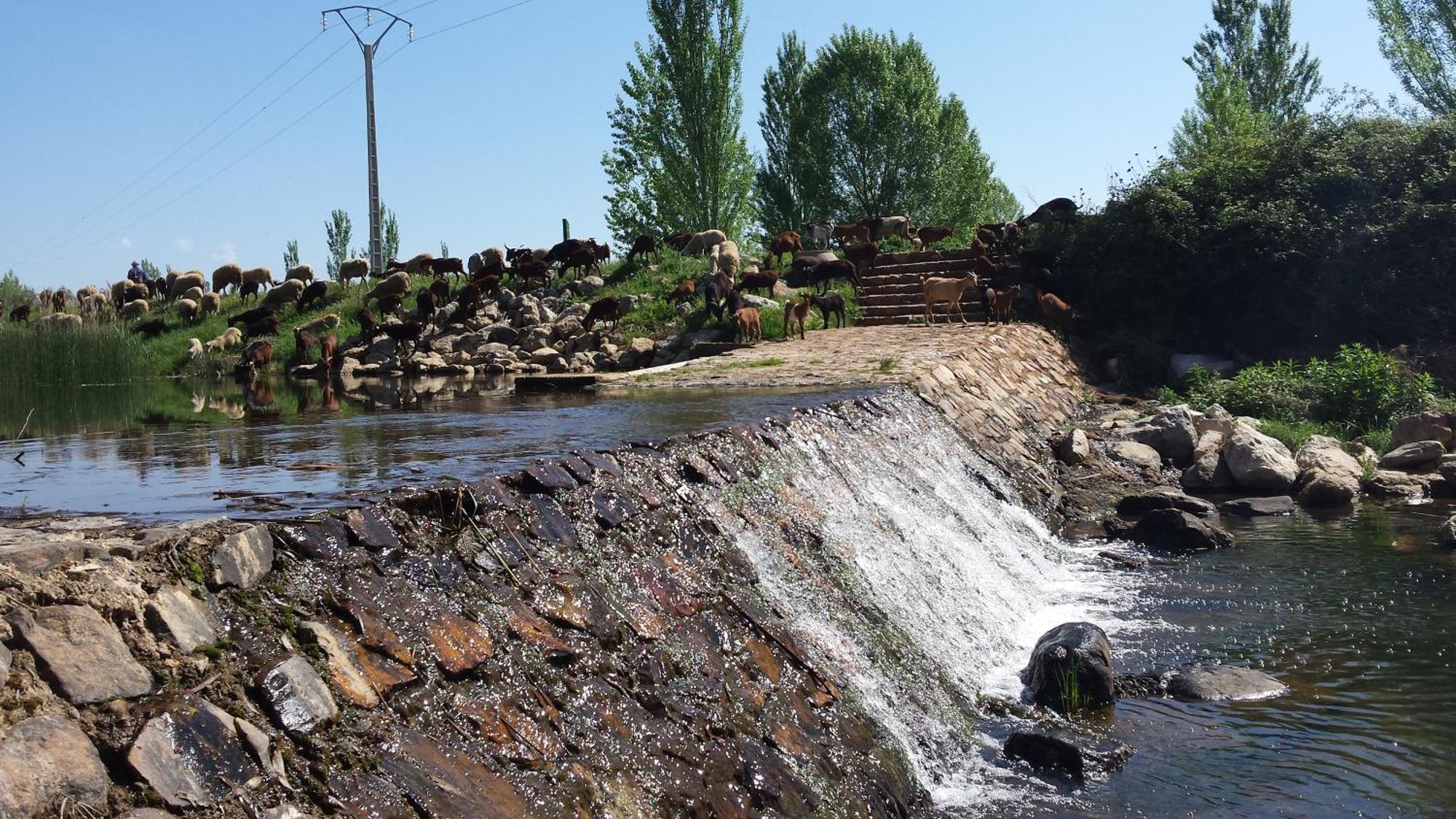 Complejo Turistico Rural Fuente Taray Daire Malagón Dış mekan fotoğraf