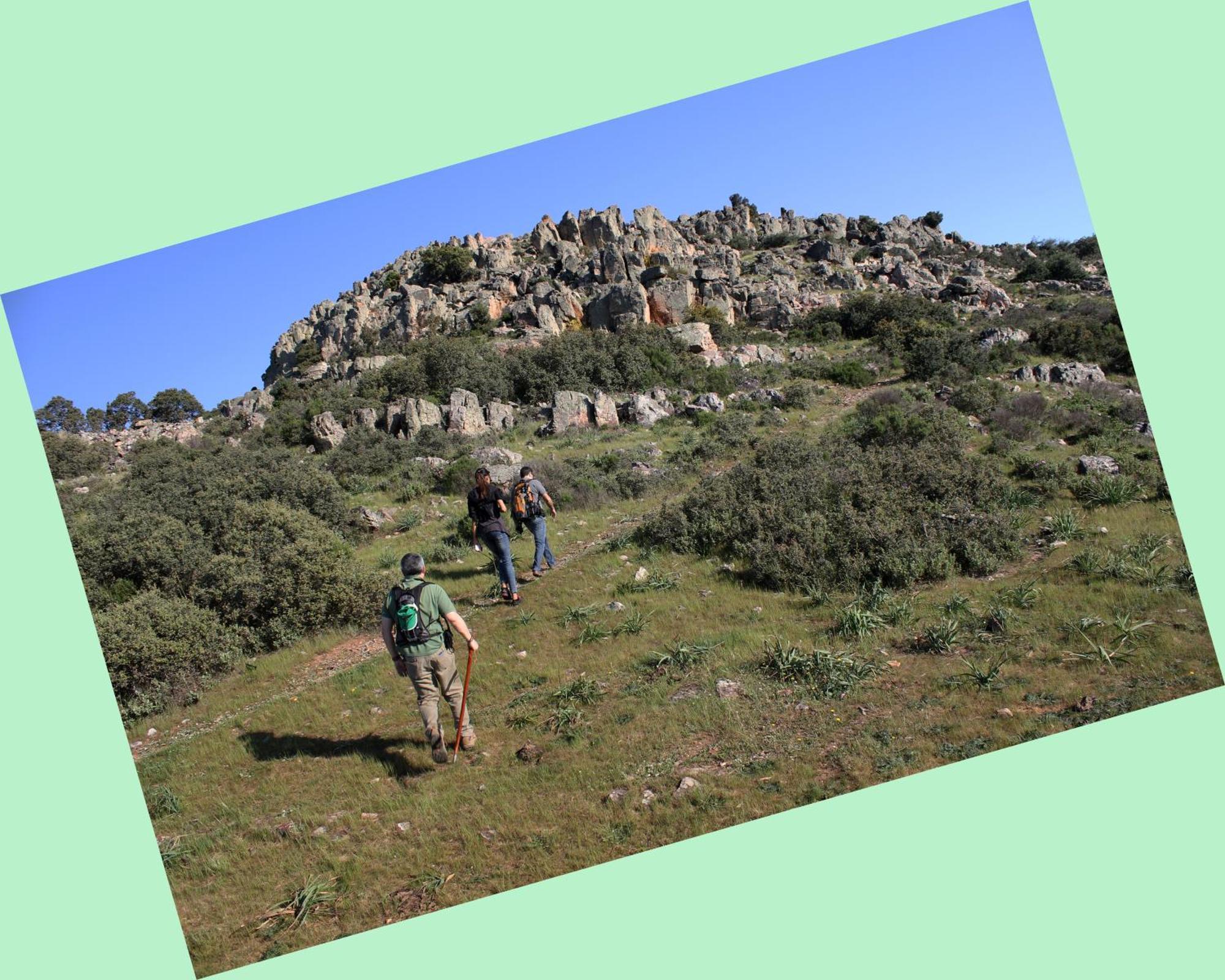 Complejo Turistico Rural Fuente Taray Daire Malagón Dış mekan fotoğraf