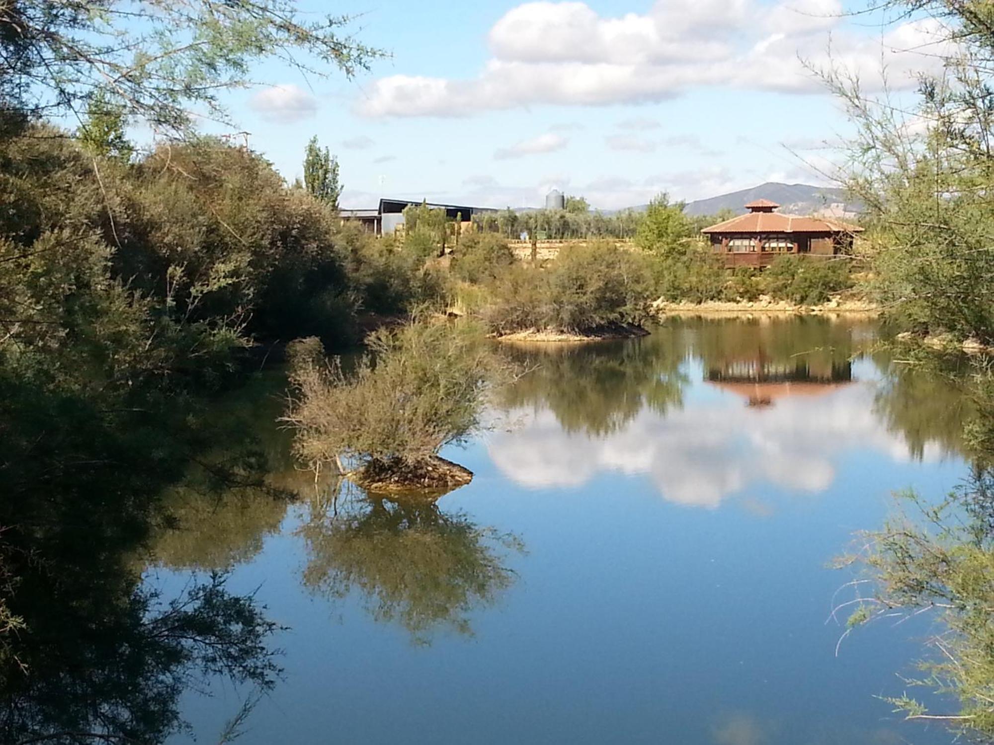 Complejo Turistico Rural Fuente Taray Daire Malagón Dış mekan fotoğraf
