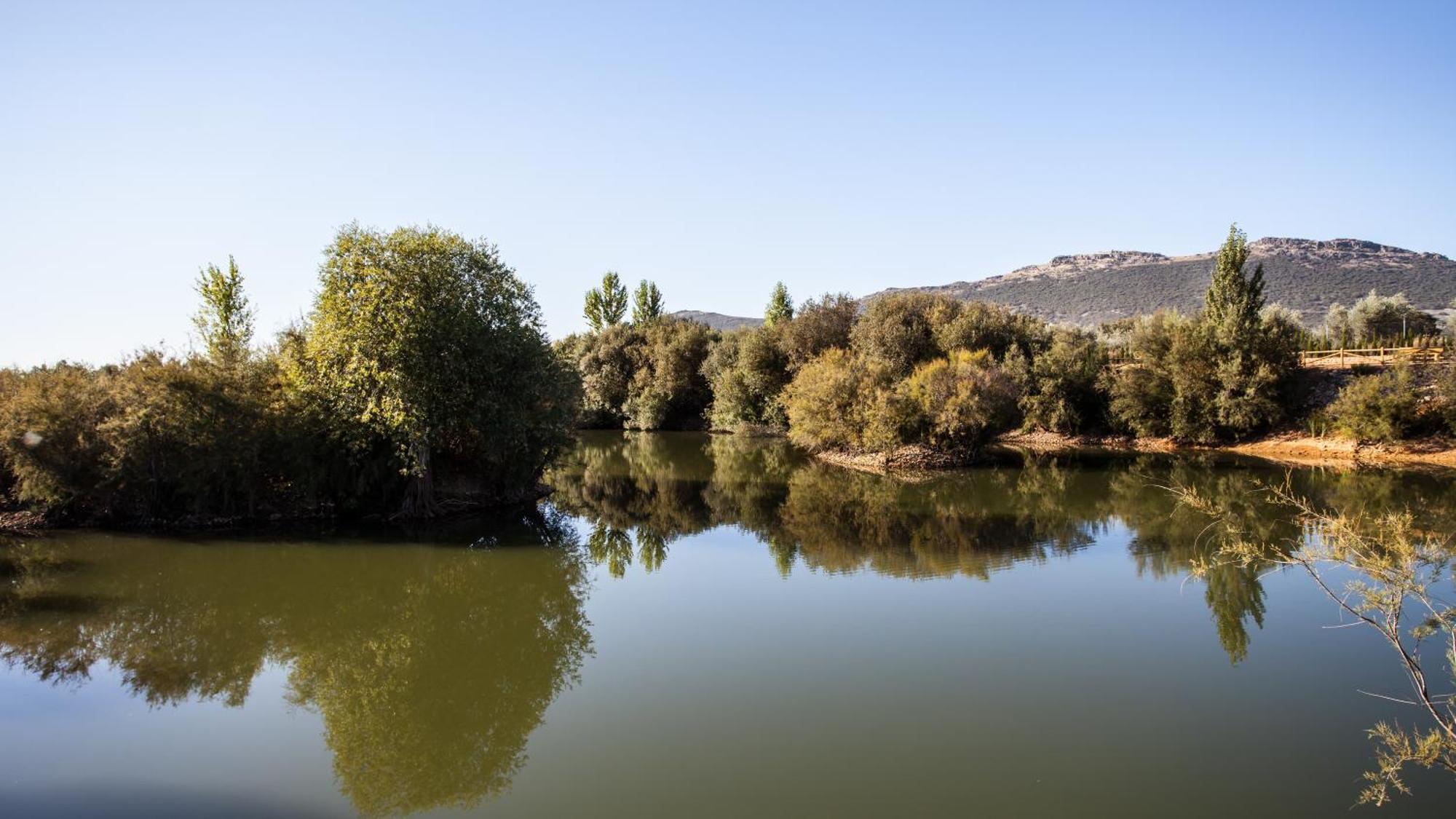 Complejo Turistico Rural Fuente Taray Daire Malagón Dış mekan fotoğraf