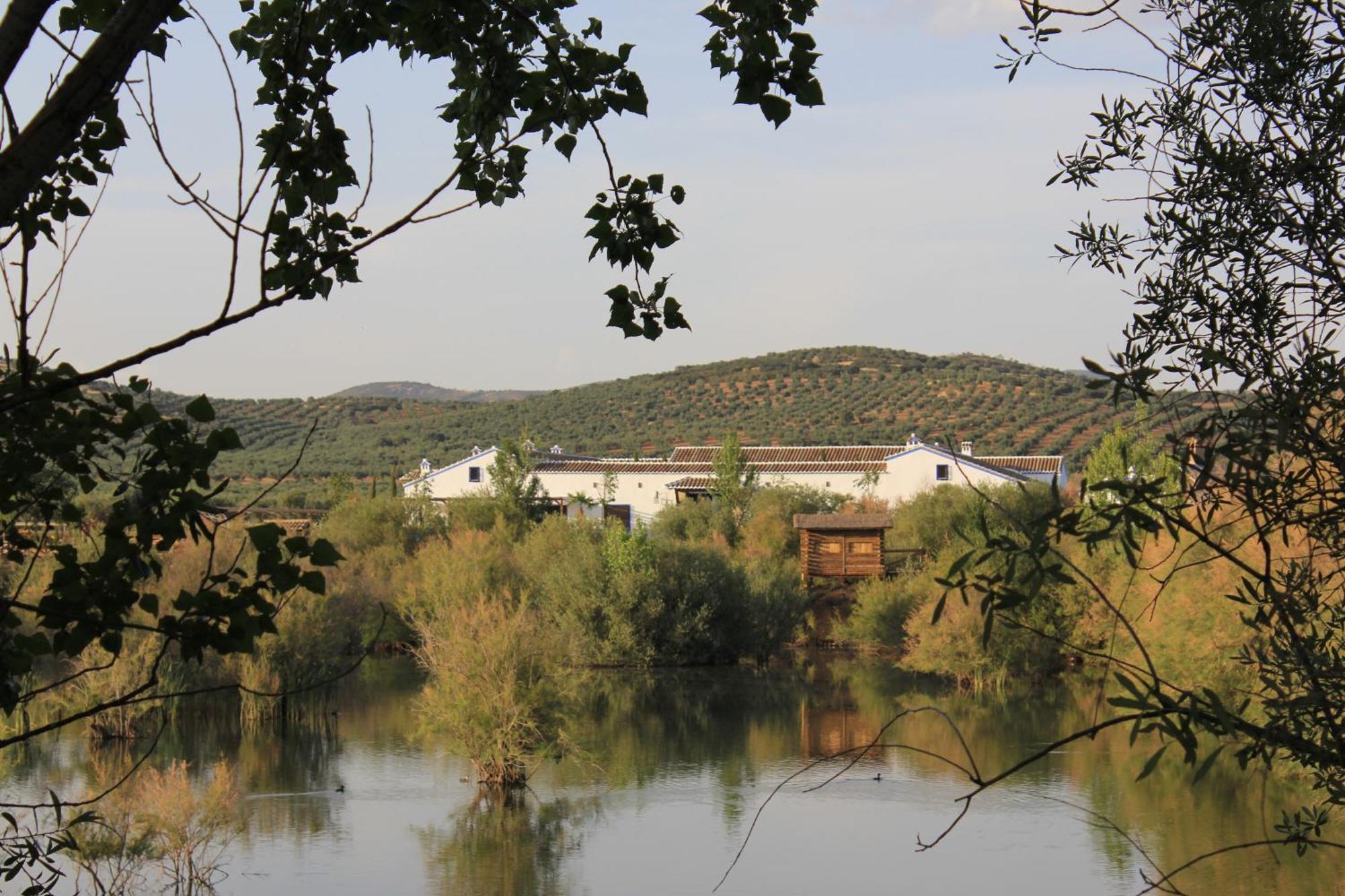 Complejo Turistico Rural Fuente Taray Daire Malagón Dış mekan fotoğraf